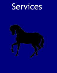 Services